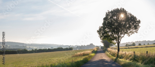 country road b etween fields and forests in countryside landscape of belgian hautes fagnes photo