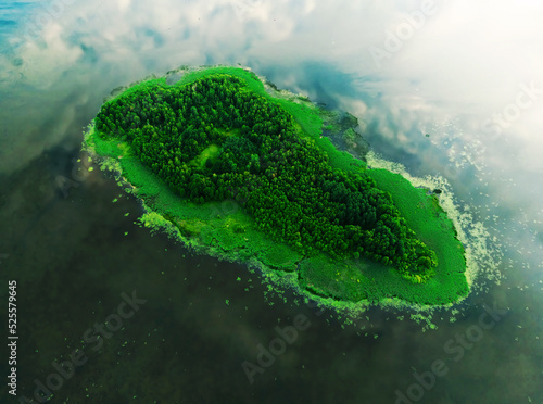 Desert island in sea. Island in lake. Island with forest in sea, aerial view. Green fir on coast ocean. Forest near water. Survival on uninhabited tropical island. Live on adventure of a lifetime.