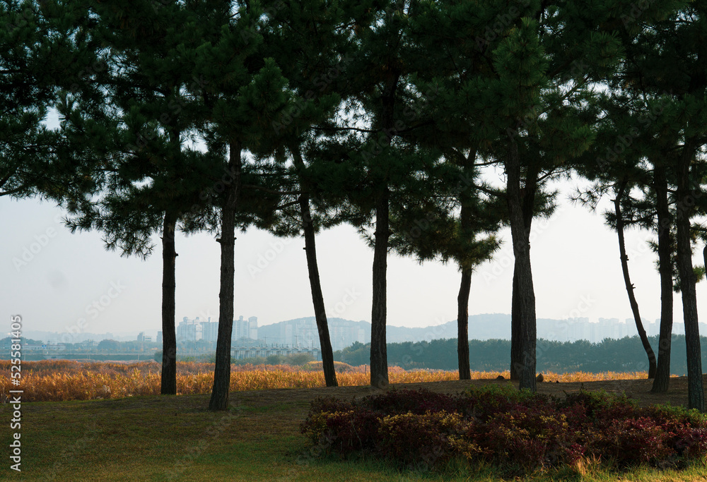 October Autumn Scenery Photos and Trees October Autumn Scenery Photos and Trees