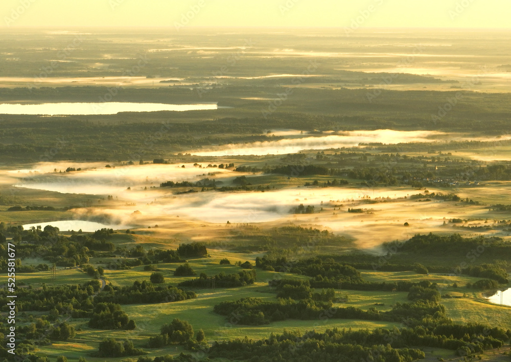 Fototapeta premium Foggy sunrise. Nature at dawn in fog, aerial view. Morning mist haze in agricultural field. Sunny morning scene in misty in rural. Misty landscape. Sunny foggy hills on sundown. Dawn in hillside.