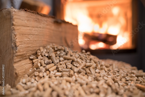 wood burning stove heating the house - choice between firewood or pellets	