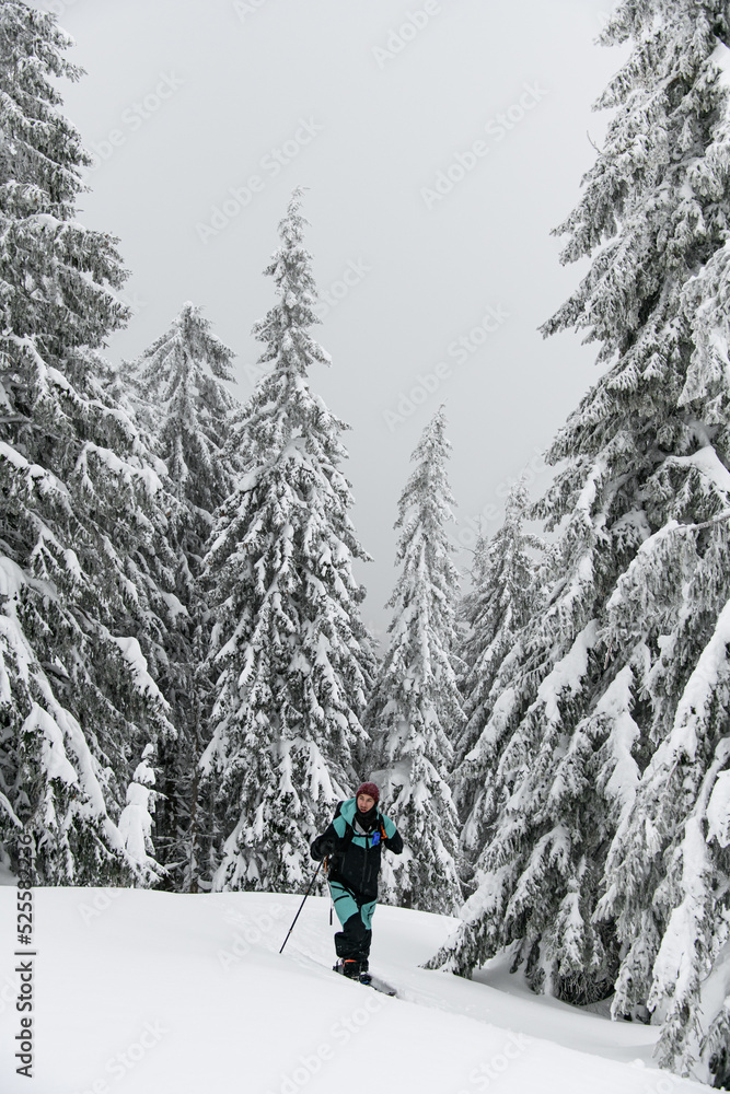 Great view on male skier in colorful costume among snow-covered fir trees. Ski tour.