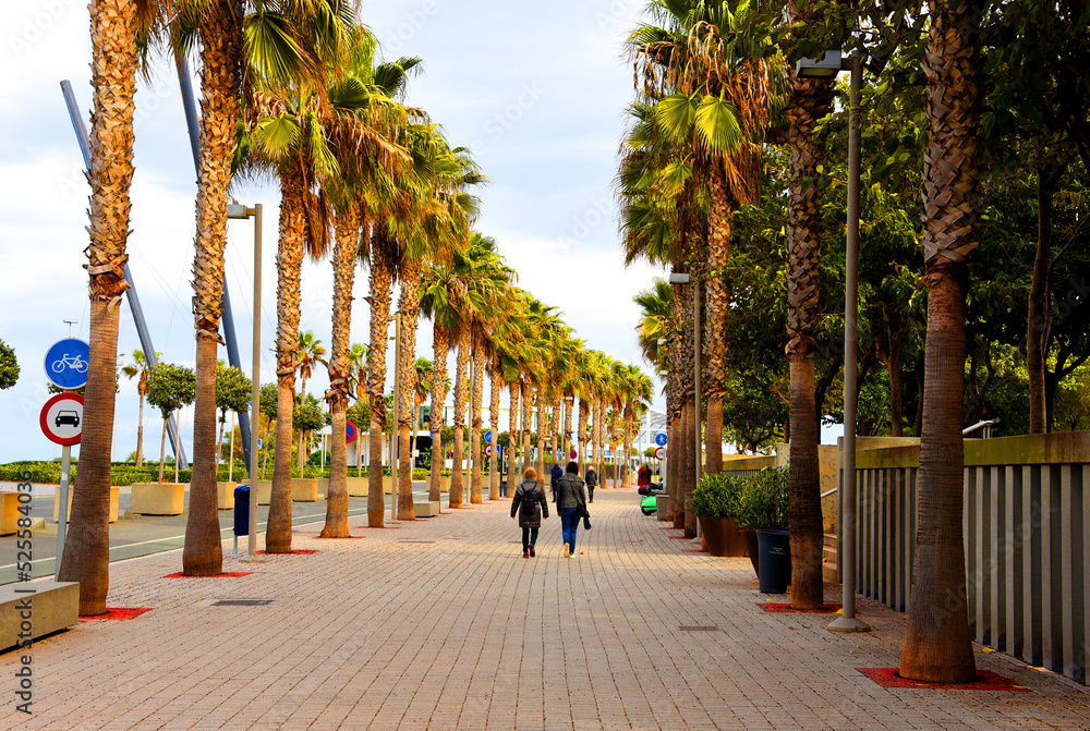 Fototapeta premium People on a walk along path near coastline. Winter season in Spain. Palm trees at Seafront of La Marina de Valencia. City street, road, people and square, trees in park.