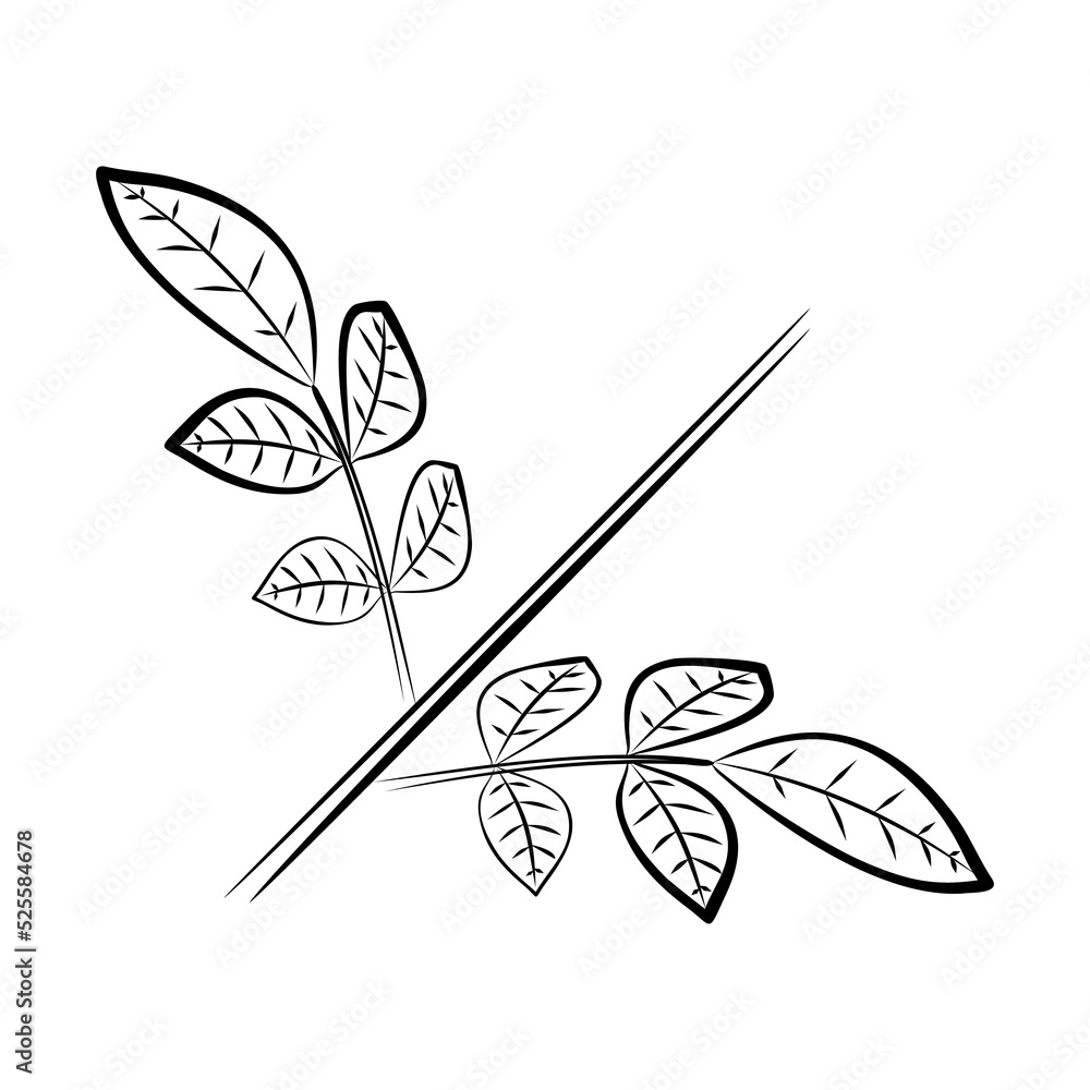 a-rose-flower-clipart-ornament-with-ai-generative-27919657-png