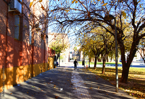 Autumn leaves on the sidewalk. Yellow leaves fall on the footpath in the city. Autumn season at sunset background with people on the street. Warm winter day in Spain  Valencia.