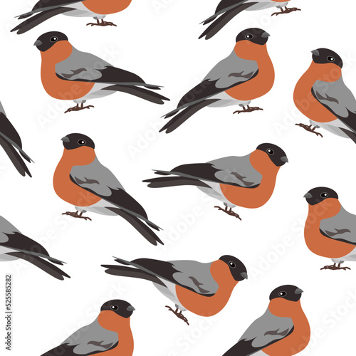 Seamless pattern with cute bullfinch birds on a white background.Vector pattern can be used in textiles, notebook covers,packaging.