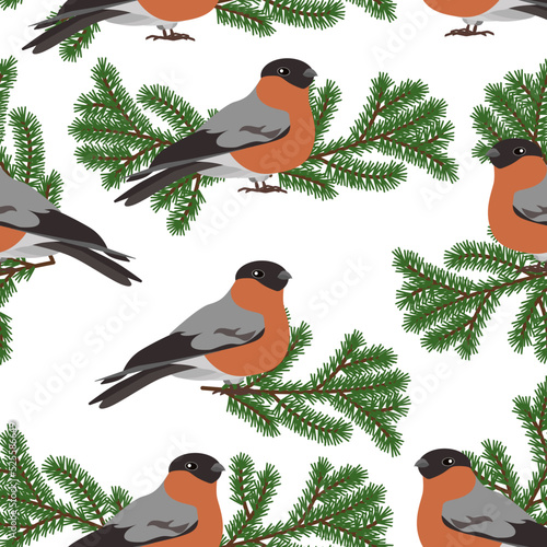 Seamless pattern with cute bullfinch birds and fir branches on a white background.Vector pattern can be used in textiles,notebook covers,packaging, Christmas designs.