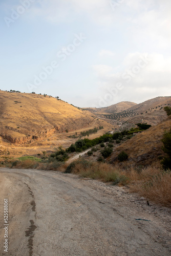 Ajloun, Jordan : The road to the Rashrash waterfall (Wadi Zqieq)