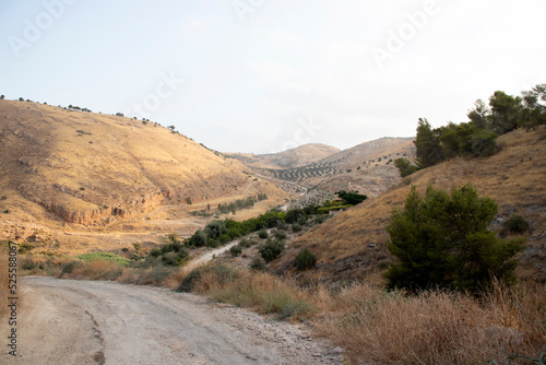 Ajloun  Jordan   The road to the Rashrash waterfall  Wadi Zqieq 