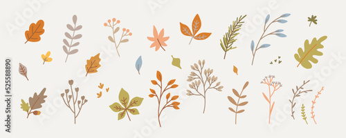 Set of fall twigs with leaves, foliage, berries. Cute and cozy autumn drawn design elements. Vector illustration
