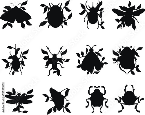 Collections of Insects different type Flat vector Silhouettes © Design Stock