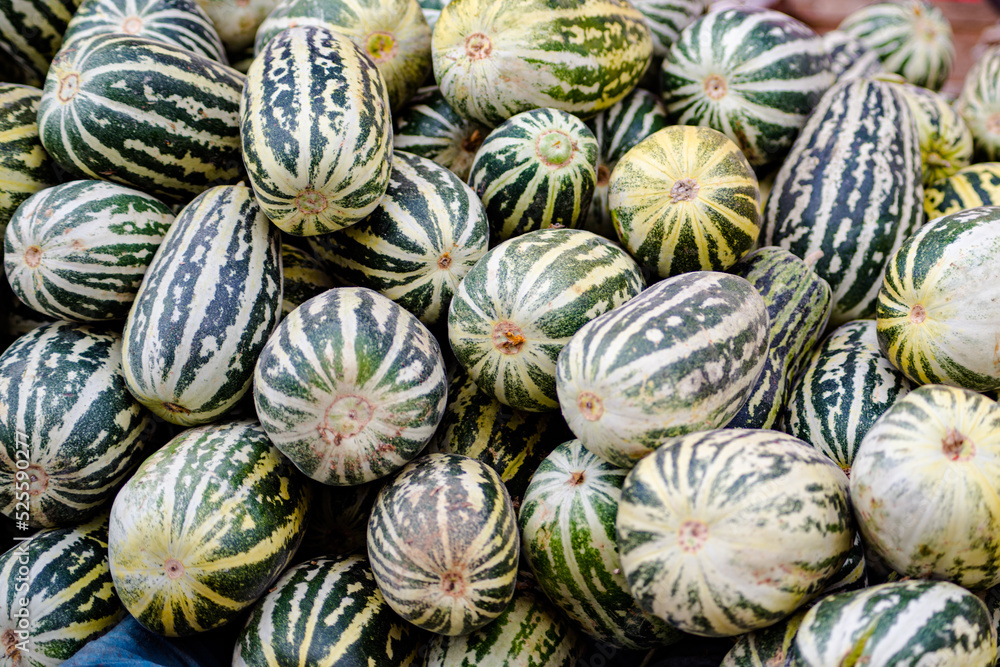 close-up of chinese sweet melon close-up of chinese sweet melon