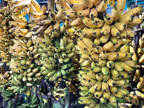 Bananas on a Market in Jakarta, Indonesia