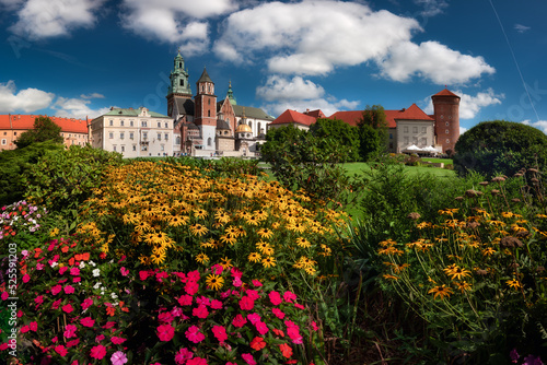 Kraków, poland. Widok na kwiaty na Wawelu