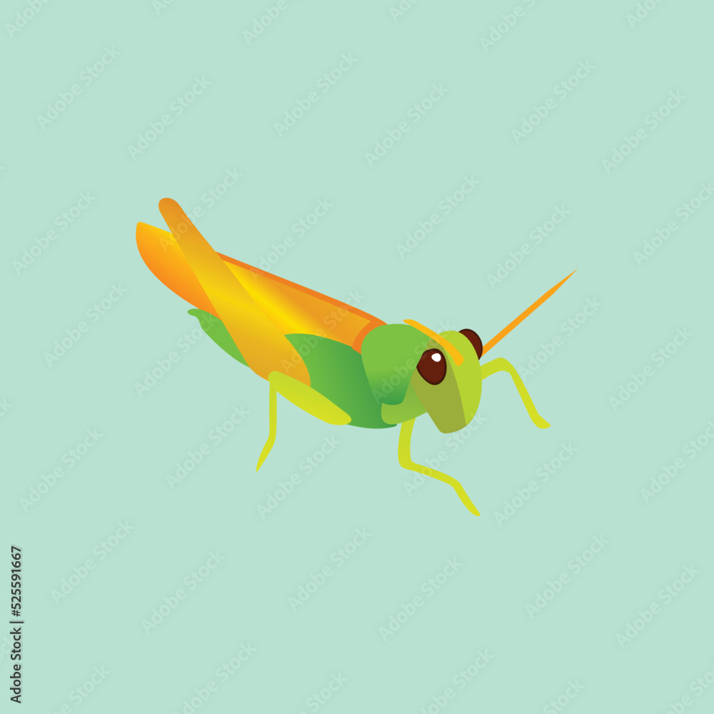 illustration of a grasshopper, Beautifull grasshopper vector design on a green background illustration of a grasshopper, Beautifull grasshopper vector design on a green background