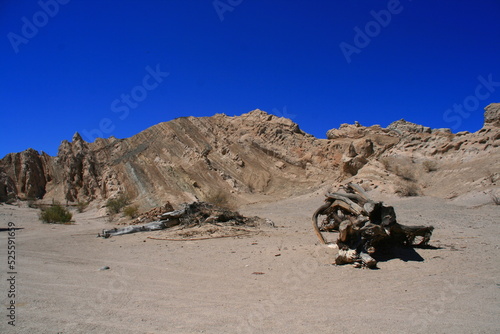Landscape of the Valles Calchaquies road, Argentina. Mountains. Dry and desert climate. Tourist path. Trip. Argentine North. Latin America. photo