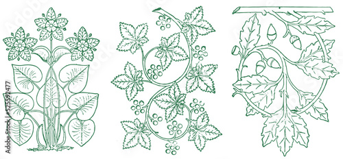 Delicate vintage floral design. isolated vector. 