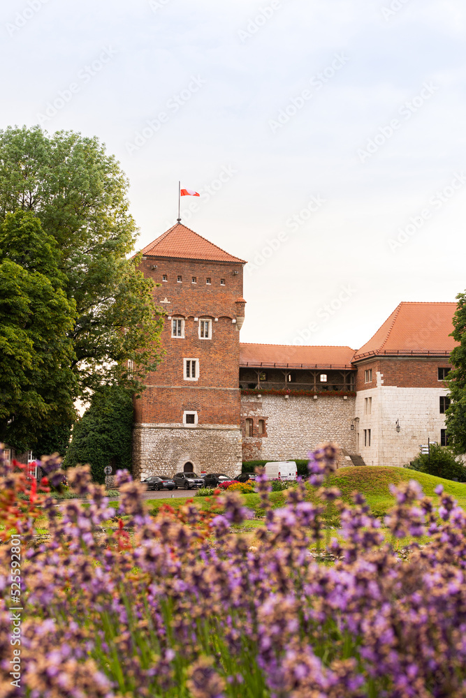 Wawel Castle is a castle residency located in central Krakow