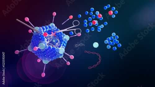 Genetic engineering, genetically modified virus can be used for gene therapy or vaccinations. Here an adenovirus with manipulated double-stranded DNA and new proteins. 3d conceptual illustration photo