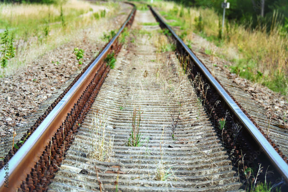 Railway running forward on green grass on summer day Railway running forward on green grass on summer day
