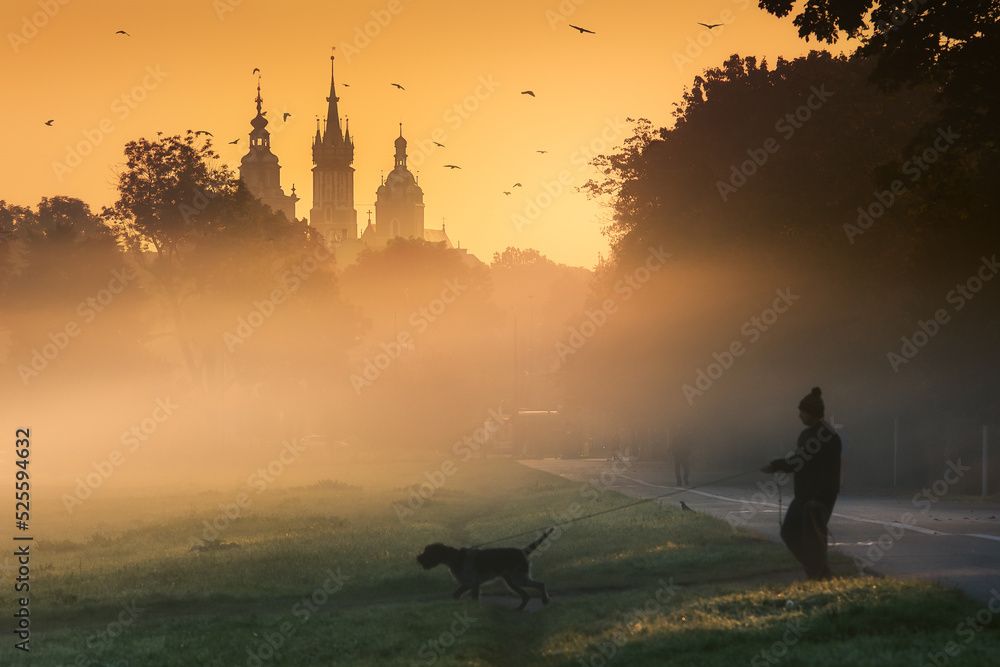 A foggy, sunny, autumn morning on the meadows in Krakow. Mglisty, słoneczny, jesienny poranek na błoniach w Krakowie. Polska, Poland - obrazy, fototapety, plakaty 