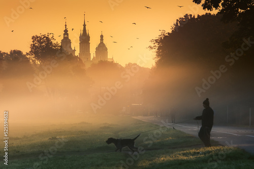 A foggy, sunny, autumn morning on the meadows in Krakow. Mglisty, słoneczny, jesienny poranek na błoniach w Krakowie. Polska, Poland photo