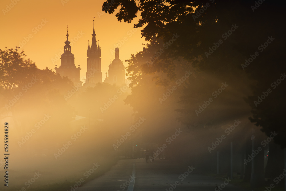 A foggy, sunny, autumn morning on the meadows in Krakow. Mglisty, słoneczny, jesienny poranek na błoniach w Krakowie. Polska, Poland
 - obrazy, fototapety, plakaty 