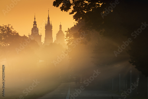 A foggy, sunny, autumn morning on the meadows in Krakow. Mglisty, słoneczny, jesienny poranek na błoniach w Krakowie. Polska, Poland 