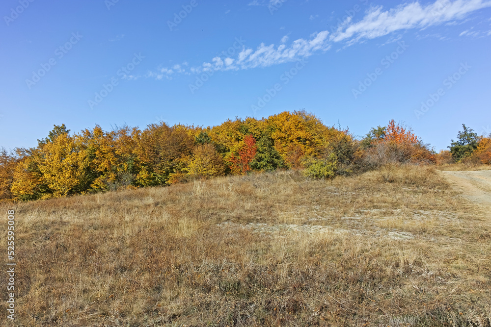 Fototapeta premium Autumn landscape of Cherna Gora mountain, Bulgaria