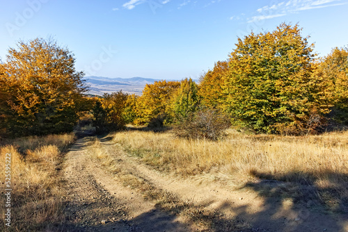 Autumn landscape of Cherna Gora mountain  Bulgaria