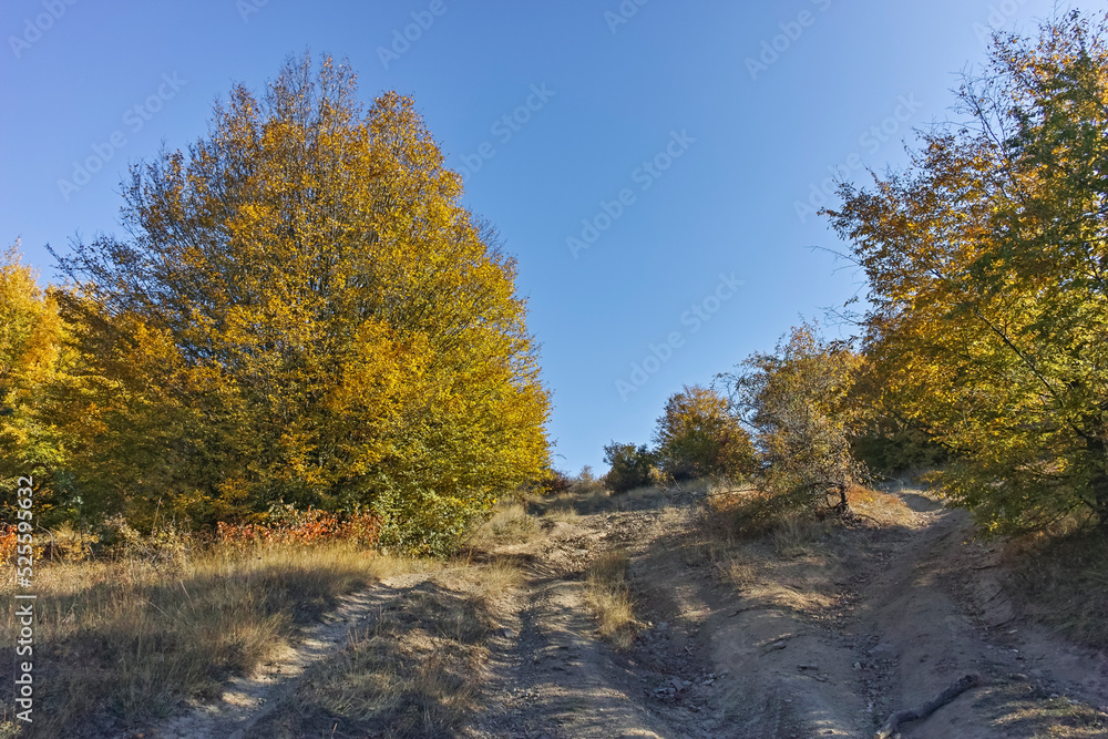 Autumn landscape of Cherna Gora mountain, Bulgaria Autumn landscape of Cherna Gora mountain, Bulgaria
