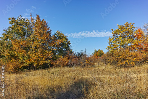 Autumn landscape of Cherna Gora mountain  Bulgaria