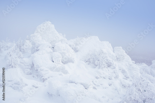 Wallpaper Mural Rock cliff in winter forest is completely covered with hoarfrost. Sharp drop in temperature, trees on slope in frosty haze. From weight of snow, spruce branches bent. Torontodigital.ca