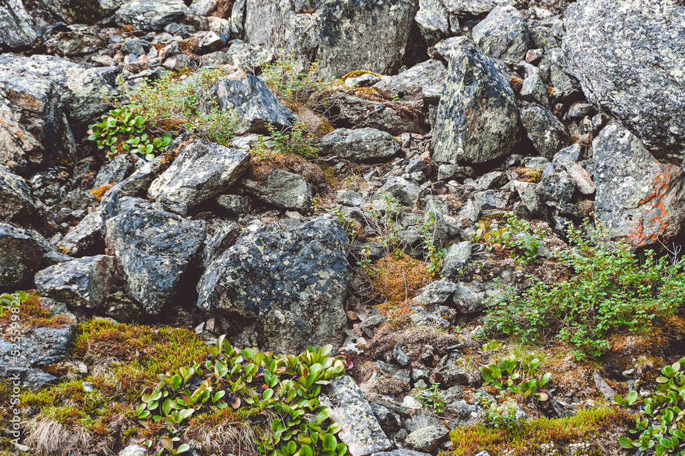 Gray old boulders on hillside. Danger of stone mudslide in highlands.