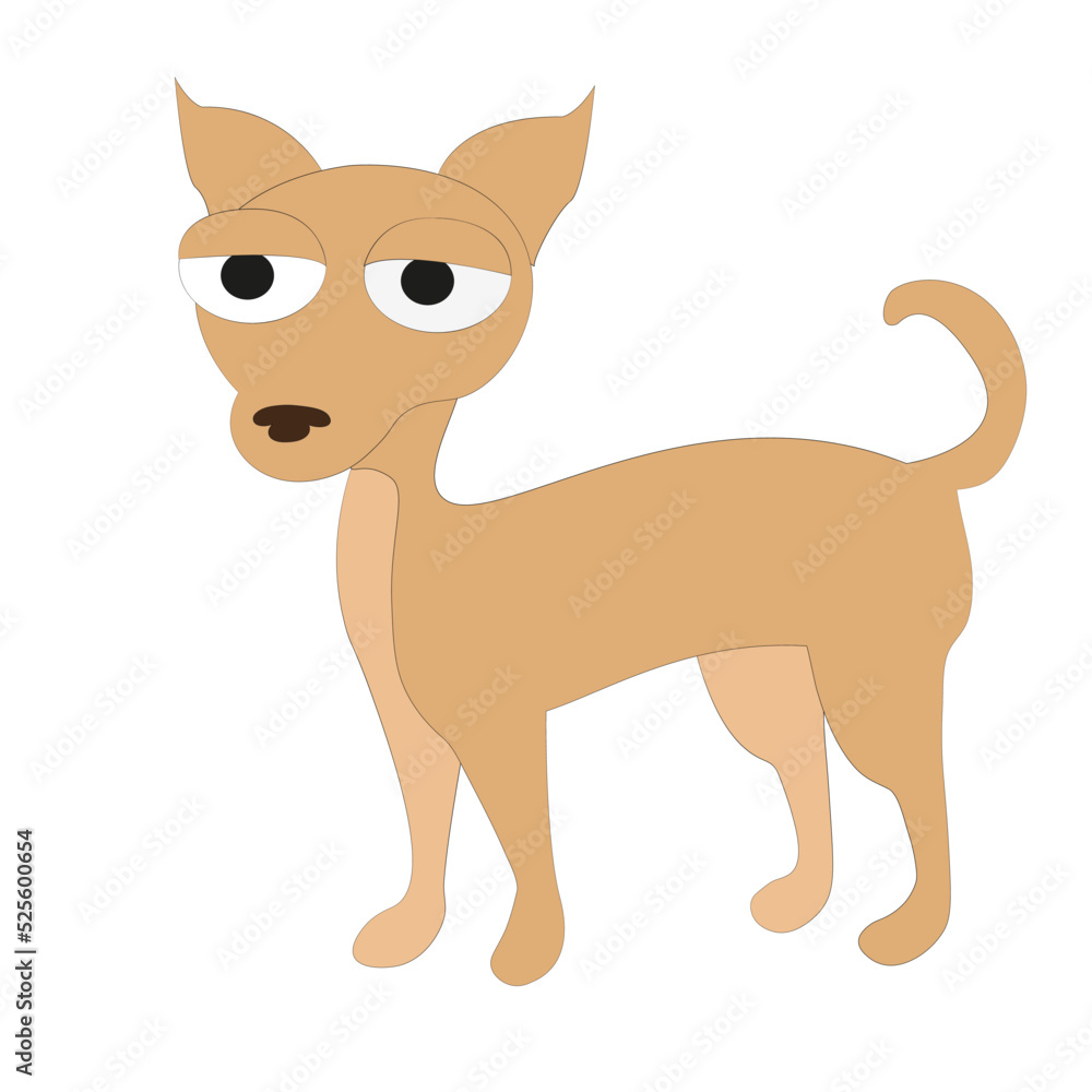 Chihuahua cartoon dog isolated on white Chihuahua cartoon dog isolated on white