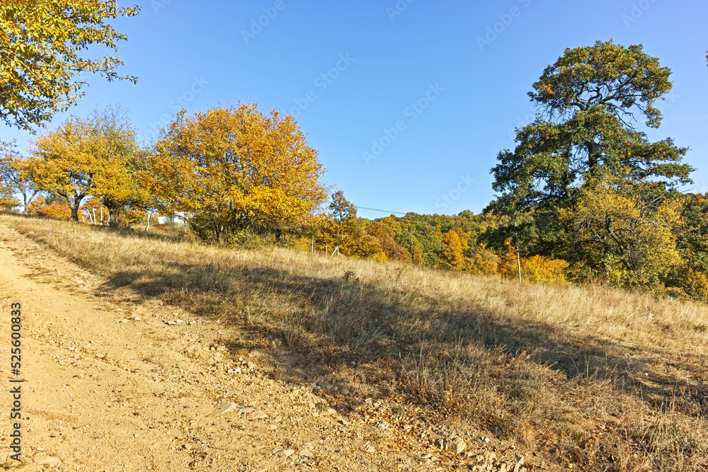 Autumn landscape of Cherna Gora mountain, Bulgaria