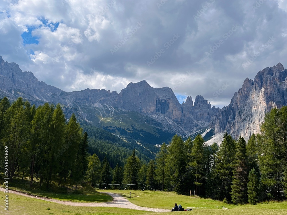 panorama of mountains, mountains and pine trees, Italy mountains 