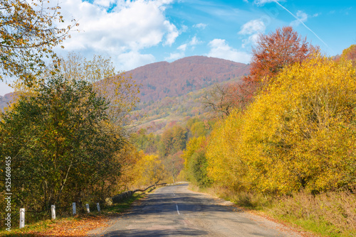 old mountain road in autumn. countryside trip on a warm sunny day. trees along the way in colorful foliage