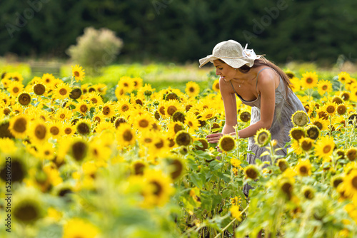 beautiful woman walking in a field of sunflowers in a linean country style dress and straw hat