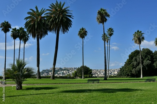 The Capodimonte wood in Naples, Italy. photo