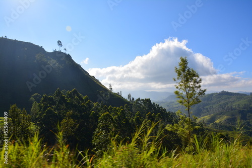 Wallpaper Mural travel Torontodigital.ca