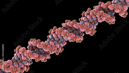 Double helix of DNA, 3D illustration