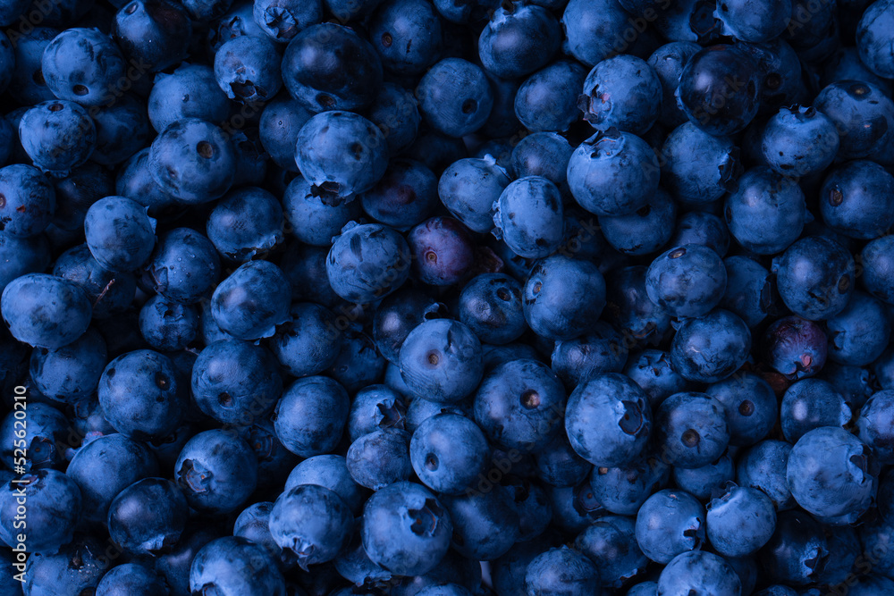 Fresh blueberry background. Texture blueberry berries close up. Fresh blueberry background. Texture blueberry berries close up.