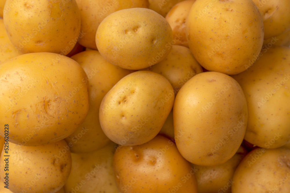 A group of fresh tasty potato as background. A group of fresh tasty potato as background.