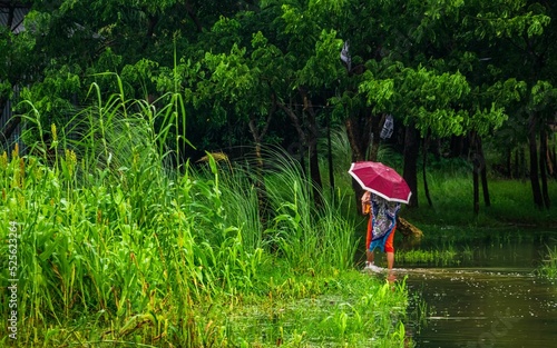 Woman walking while holding a red umbrella during the flood in Zajira, Bangladesh, South Asia photo