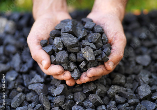 Coal grains in man coal miner's hands over a pile, closeup. Coal house heating and home heating energy. Mining industry and environment protection. Coal air polution. Closeup