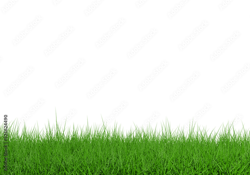 Grass isolated transparency background. Grass isolated transparency background.