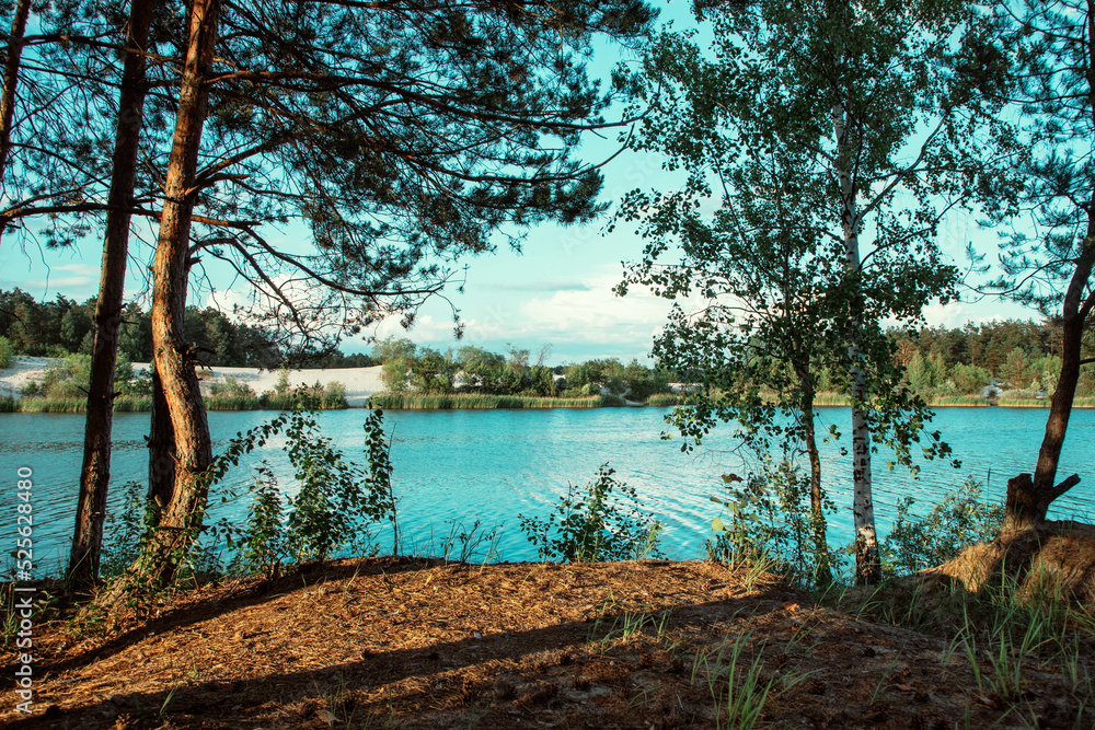 View through the branches of trees to the lake of blue color.
