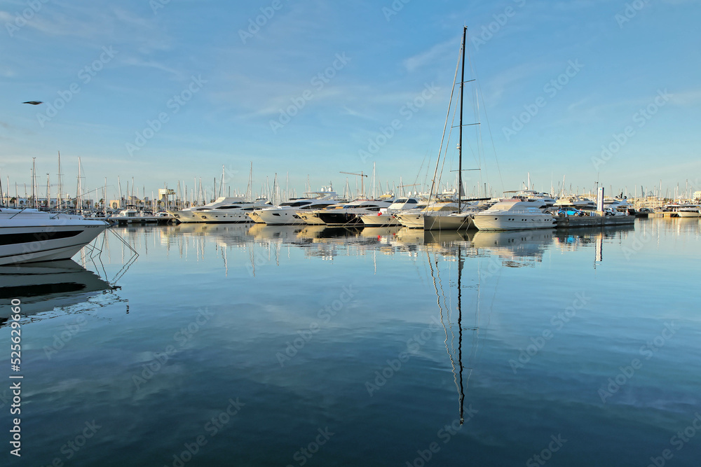 Marina w alicante