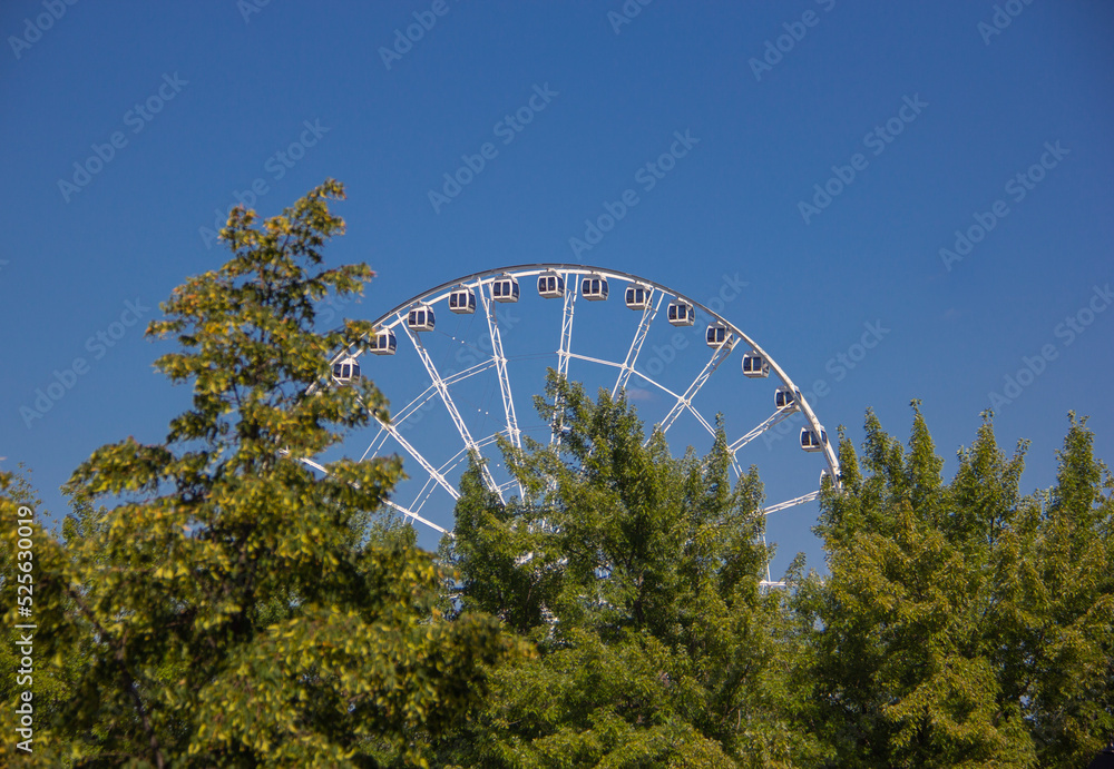 Ferris wheel behind trees Ferris wheel behind trees